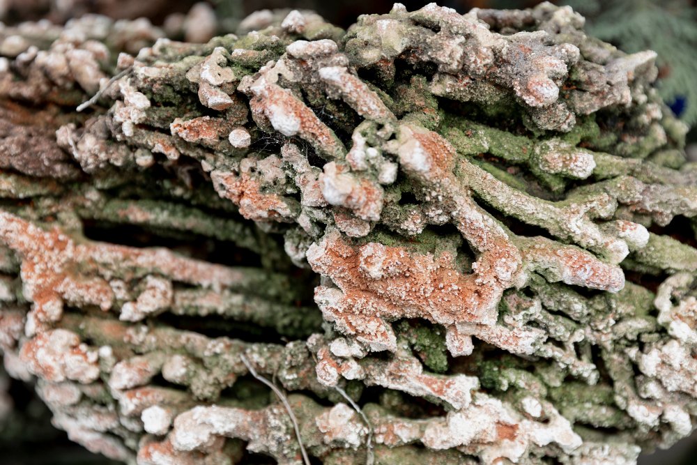 Asbestos - What materials are considered suspect