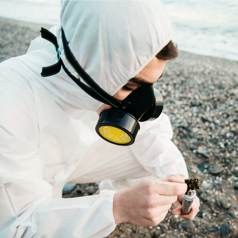 environmental hygienist testing on beach