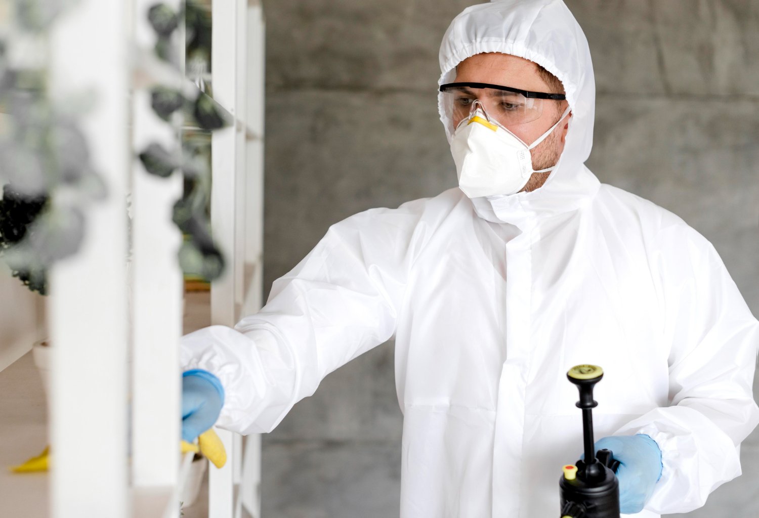 Mold Inspections - Denver and Surrounding Areas