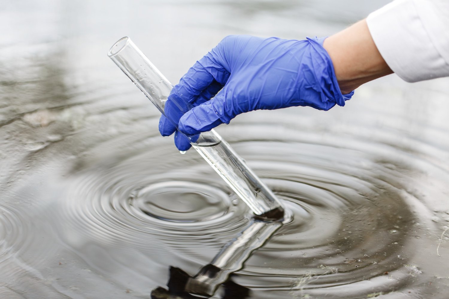 environmental testing water in pond
