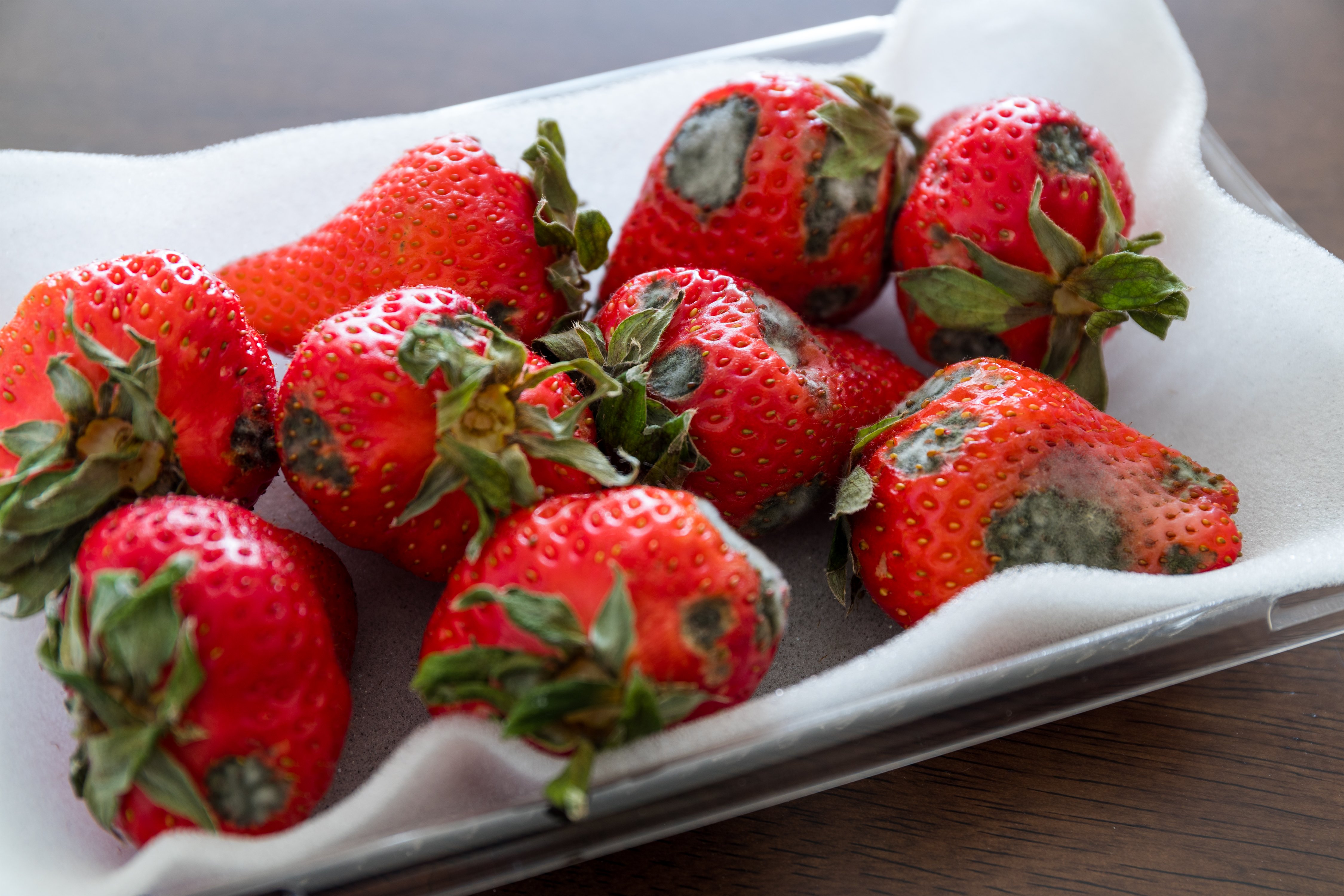 Strawberries with mold
