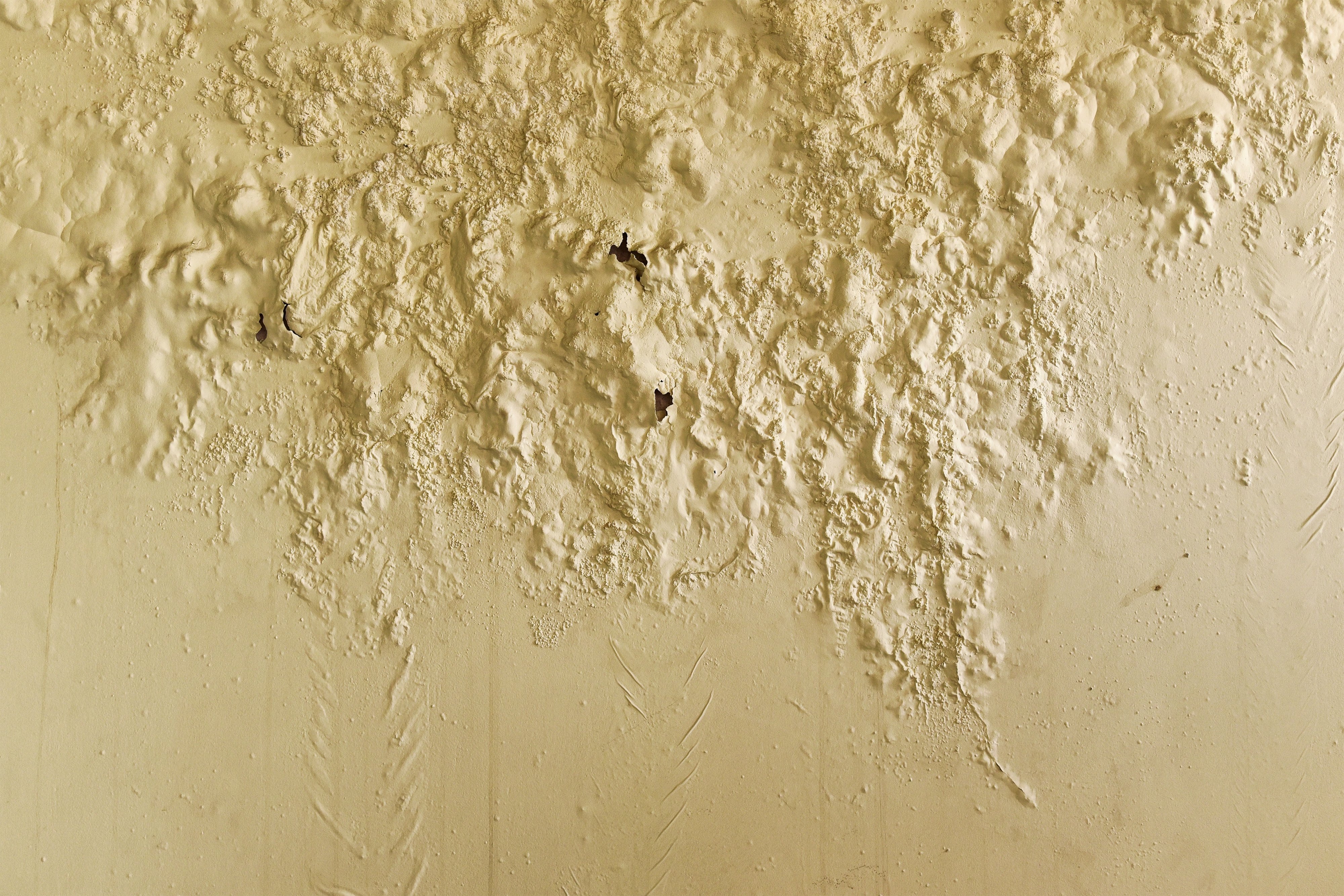 Wall cracked color by moisture humidity