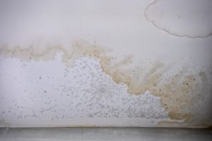 Indoor air quality testing Denver