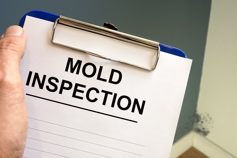 Mold-inspection
